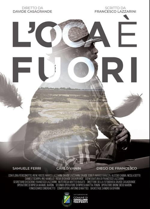 Постер: L'oca è fuori