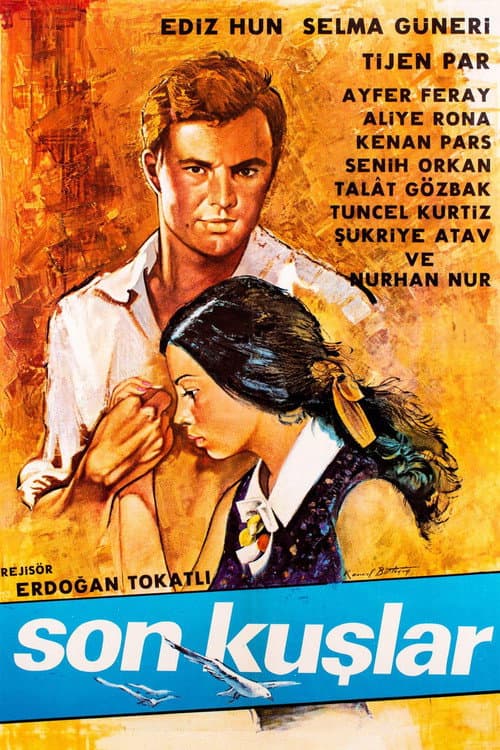 Постер: Son Kuşlar