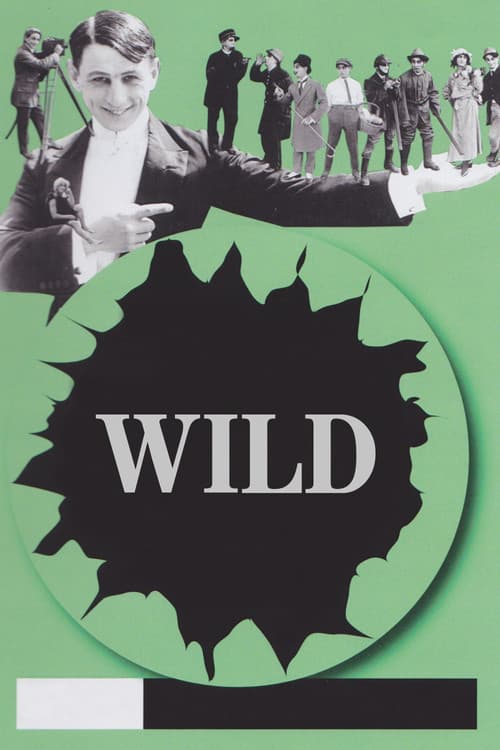 Постер: Wild