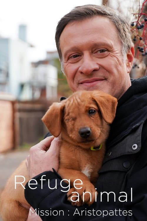 Постер: Refuge animal : Mission Aristopattes
