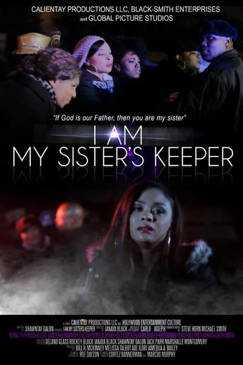 Постер: I Am My Sister's Keeper