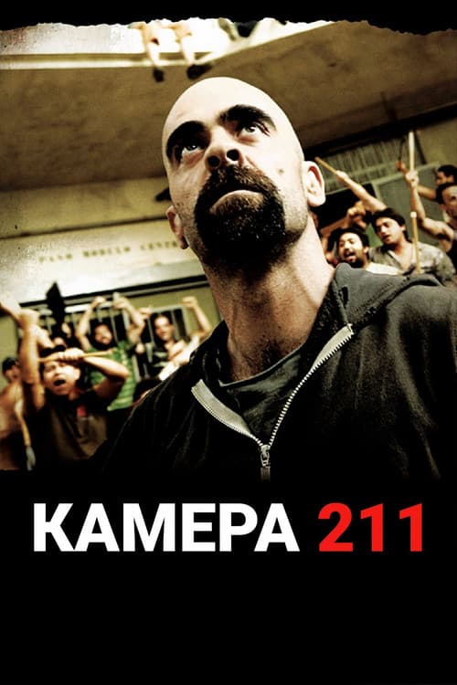 Кадр 7