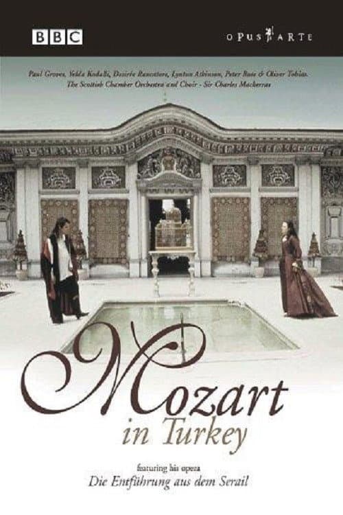 Постер: Mozart in Turkey