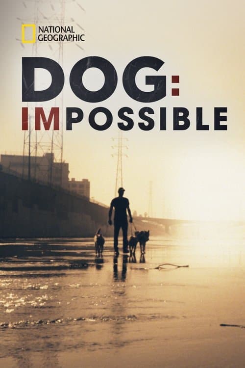 Постер: Dog: Impossible
