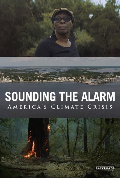 Постер: Sounding the Alarm