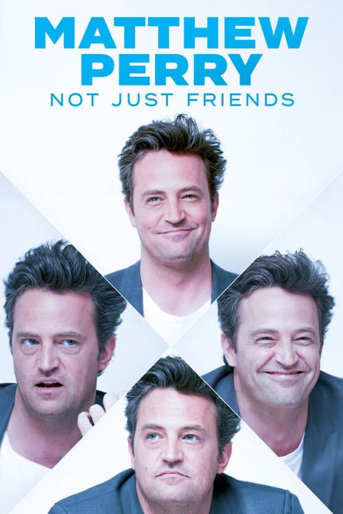 Постер: Matthew Perry: Not Just Friends