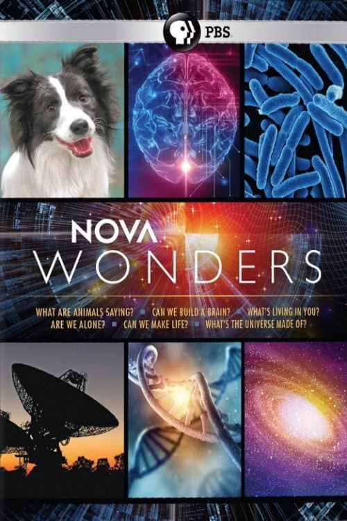 Постер: Can We Build a Brain?