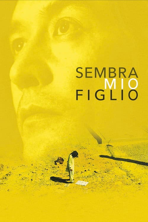 Постер: Sembra mio figlio