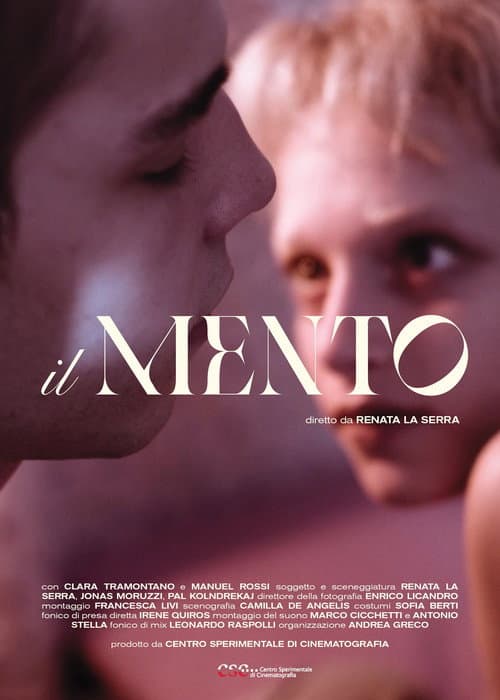 Постер: Il mento