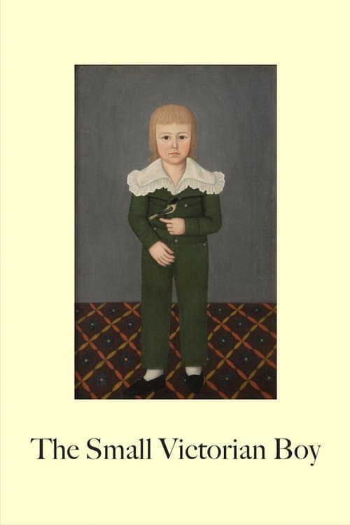 Постер: The Small Victorian Boy