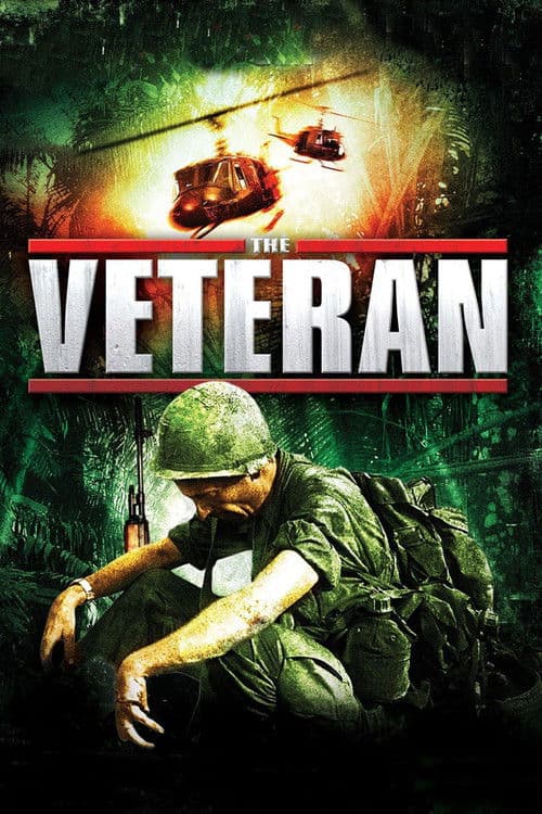 Постер: The Veteran