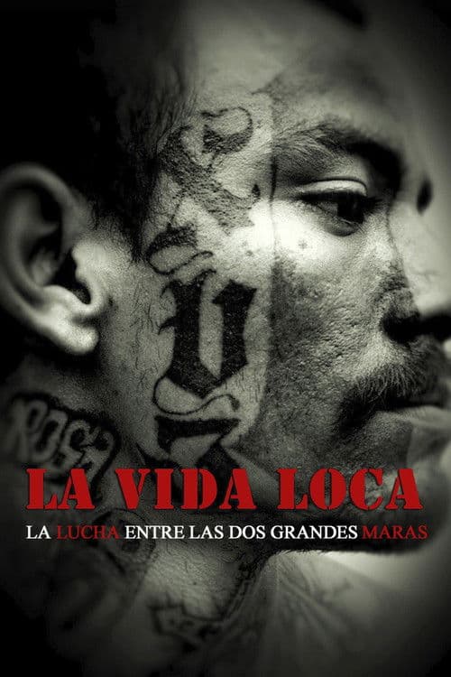 Постер: La vida loca