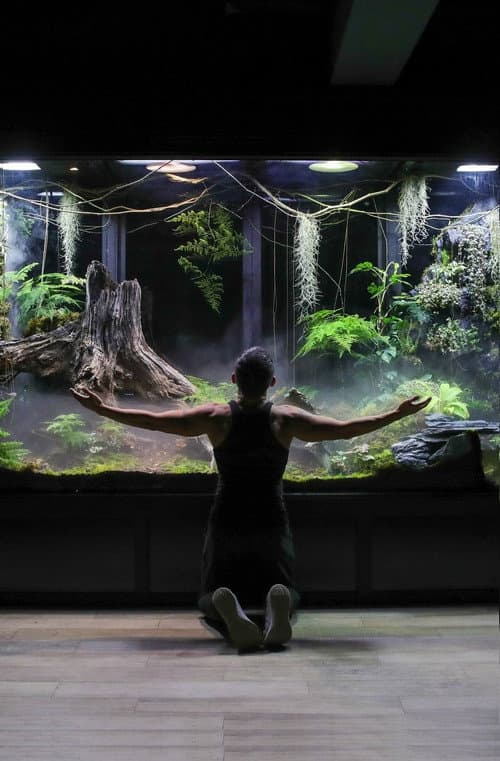 Постер: My Giant Cloud Rainforest Vivarium