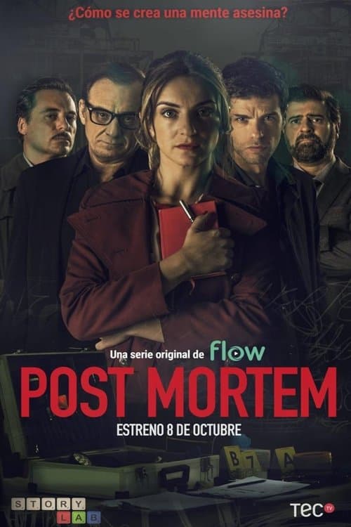 Постер: Post Mortem