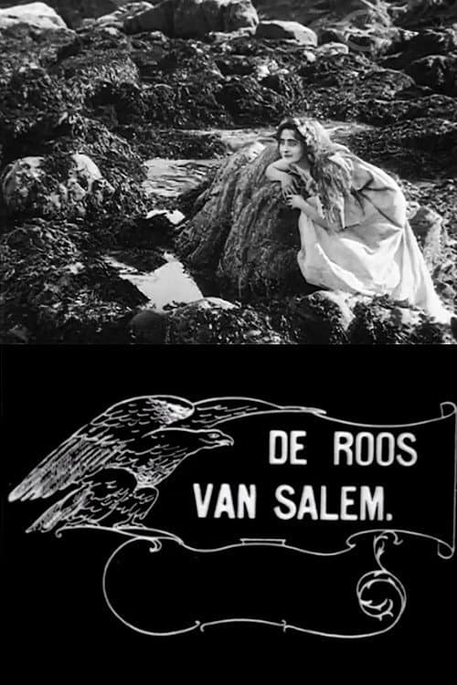 Постер: Rose o' Salem Town