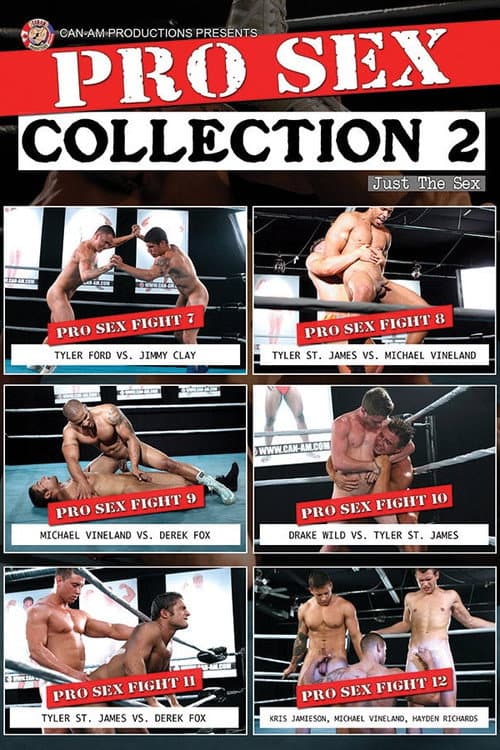 Постер: PRO SEX COLLECTION 2