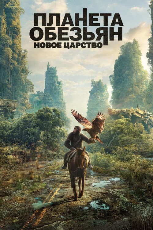 Постер 4