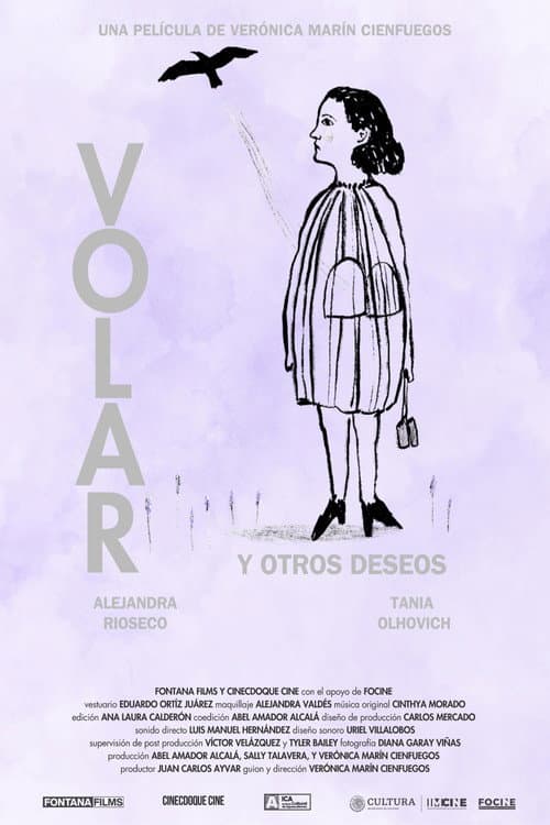 Постер: Volar y otros deseos.