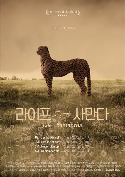 Постер: 라이프 오브 사만다