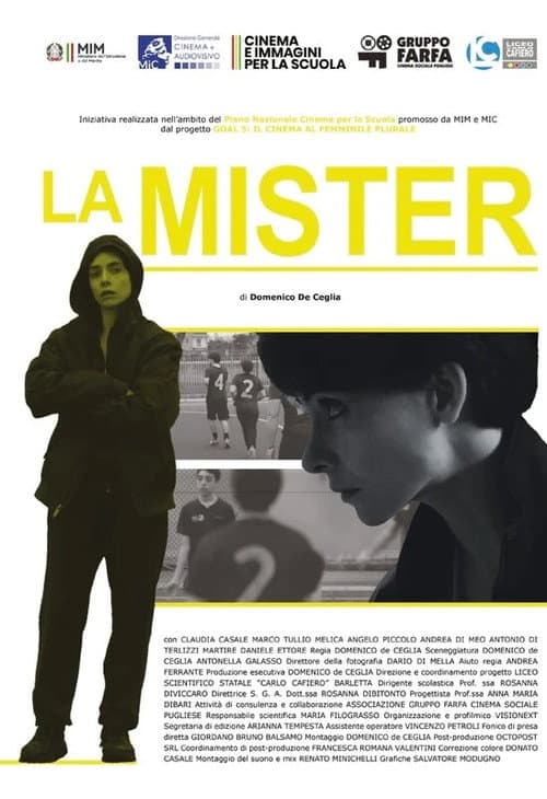 Постер: La Mister