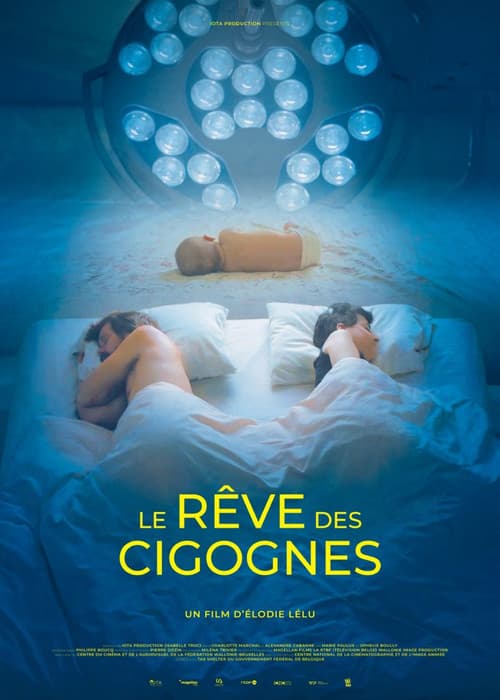 Постер: Le rêve des cigognes