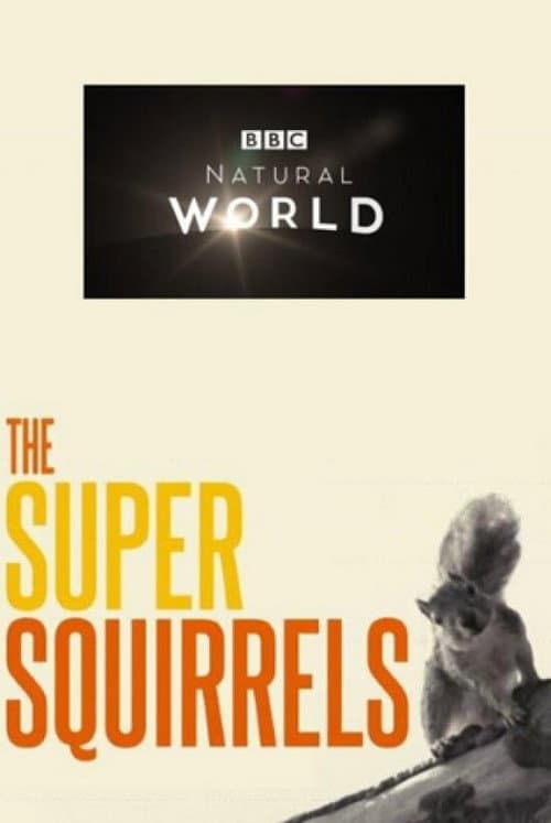 Постер: The Super Squirrels