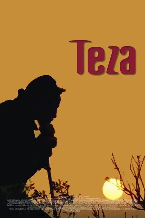 Постер: Teza