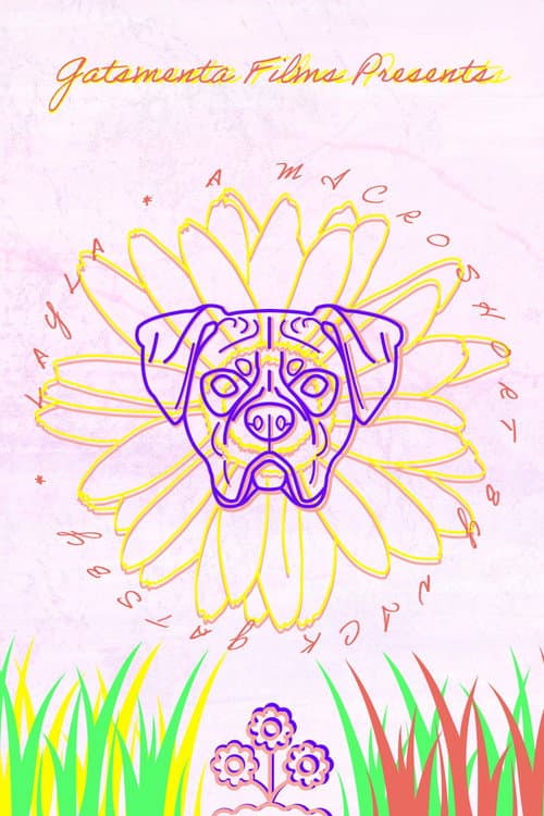 Постер: Layla