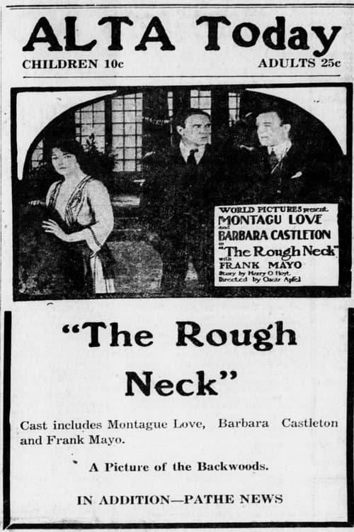 Постер: The Rough Neck