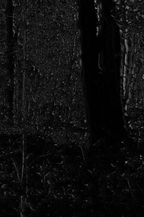 Постер: Phosphenes II
