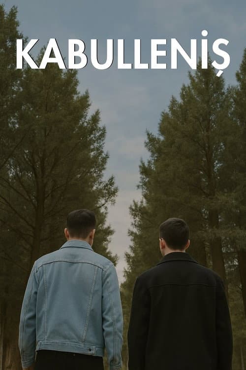 Постер: Kabulleniş