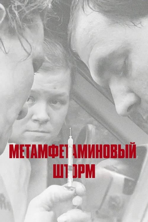 Постер: Метамфетаминовый шторм