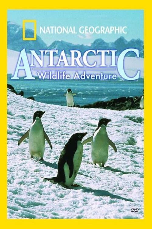 Постер: Antarctic Wildlife Adventure
