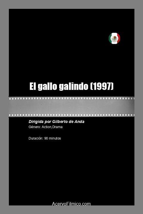 Постер: El gallo galindo