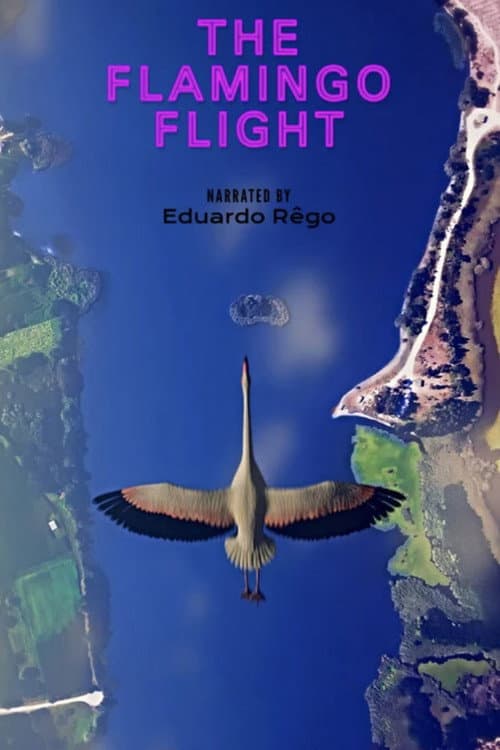 Постер: O Voo do Flamingo