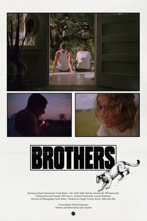 Постер: Brothers