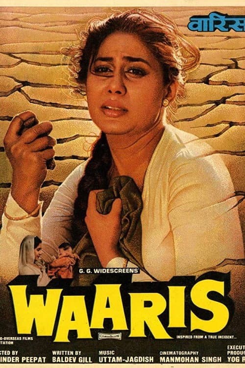 Постер: Waaris