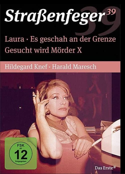 Постер: Gesucht wird Mörder X