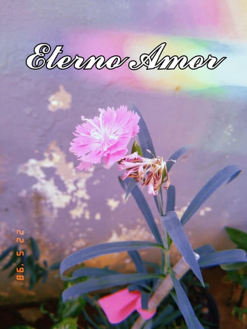 Постер: Eterno Amor ❤