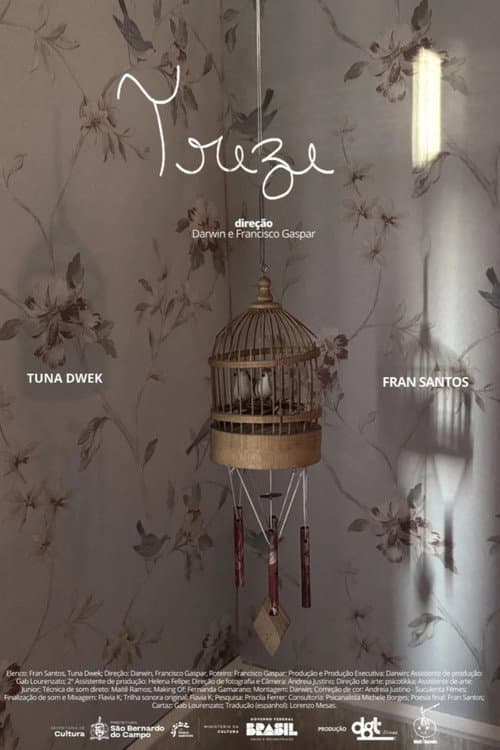 Постер: Treze
