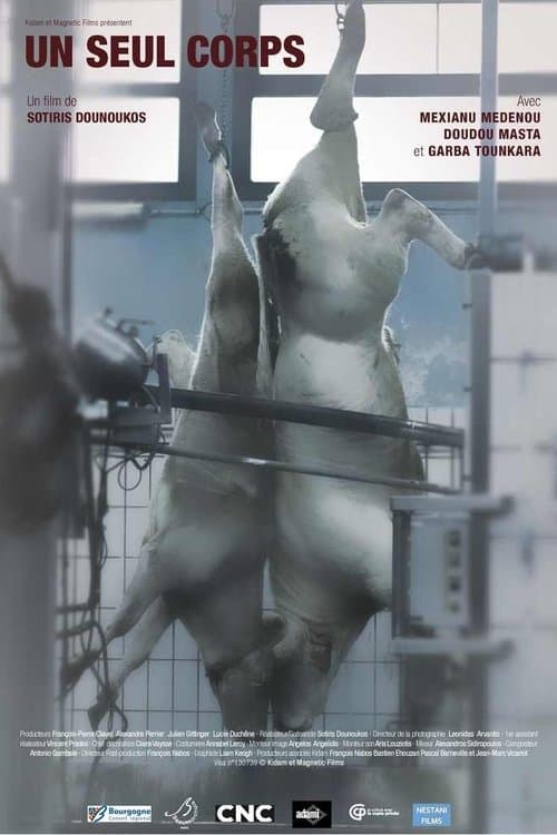 Постер: Un seul corps