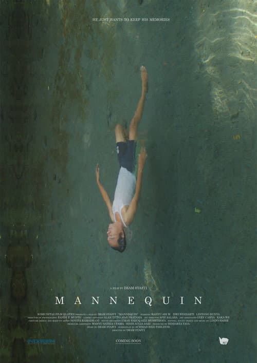 Постер: Mannequin