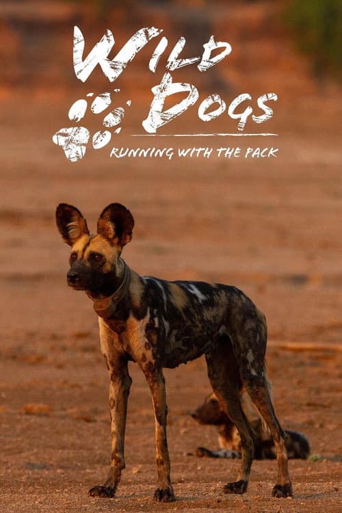 Постер: Wild Dogs: Running with the Pack