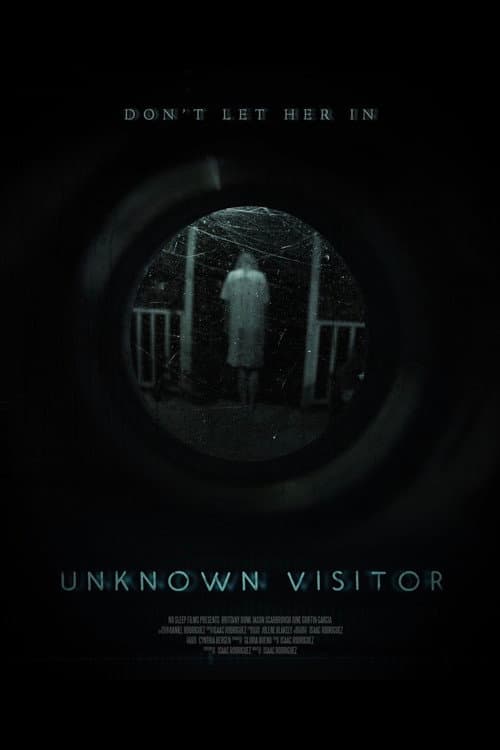 Постер: Unknown Visitor