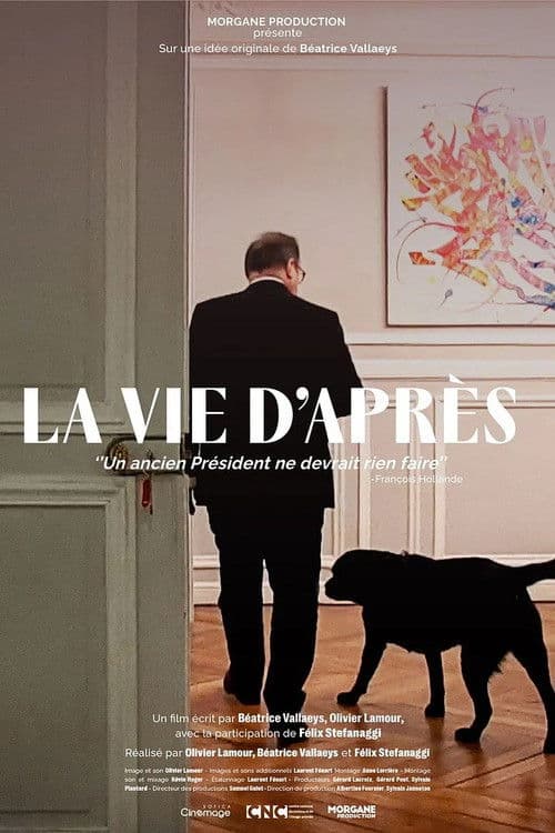 Постер: La vie d'après
