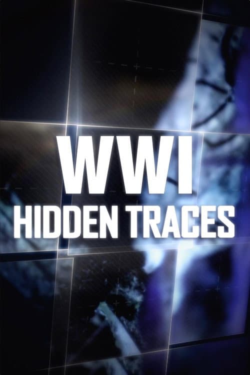 Постер: WWI: Hidden Traces