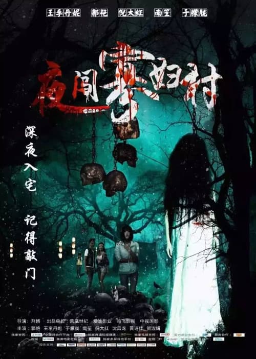 Постер: 夜闯寡妇村