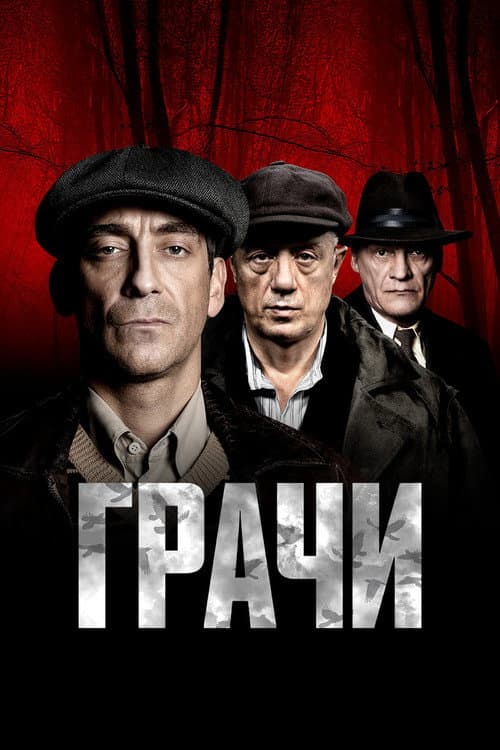 Постер: Грачи