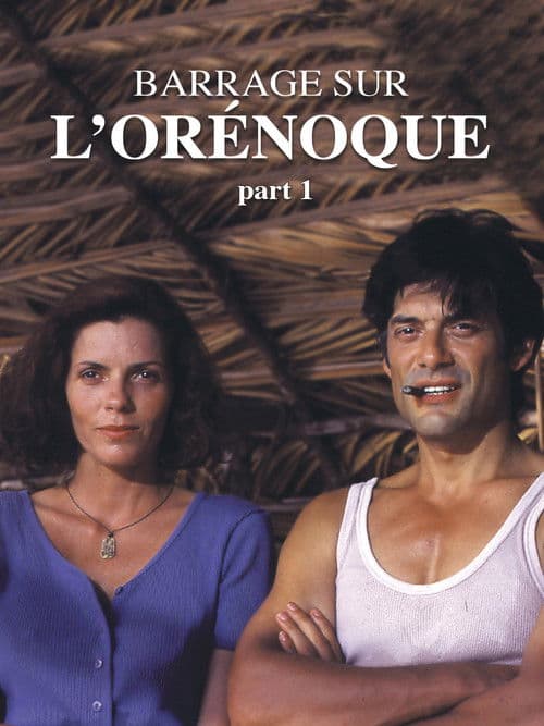 Постер: Barrage sur l'Orénoque