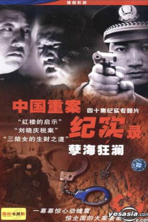Постер: 中国重案纪实录